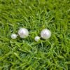 2 in 1 Classic Zircon Pearl Drop Earrings - Golden