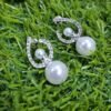 2 in 1 Classic Zircon Pearl Drop Earrings - Silver